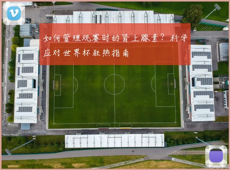 如何管理观赛时的肾上腺素？科学应对世界杯狂热指南