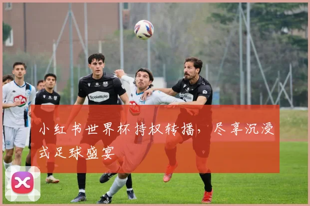 小红书世界杯持权转播，尽享沉浸式足球盛宴